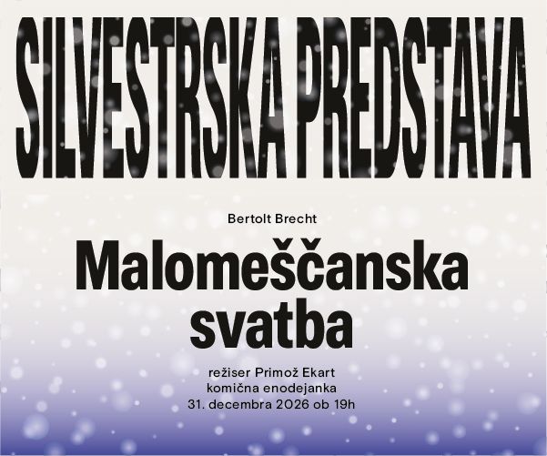 silvesterska-spletni_banner.jpg